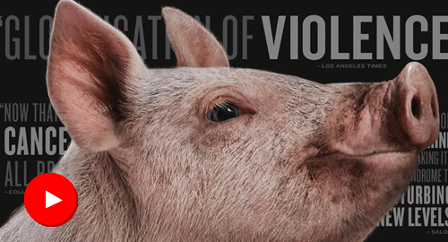 Mundo Andreé - Movie