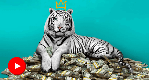 Mundo Andreé - Movie